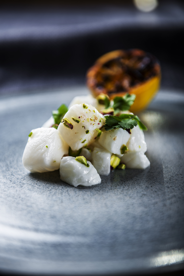 Sterling Ceviche with green chili and pistachios